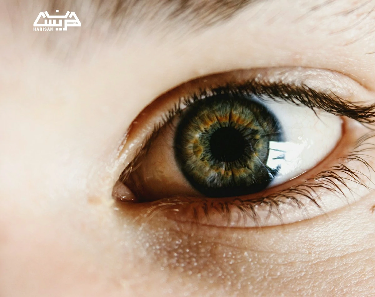 خرید عینک اورجینال